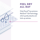 Prevail Per-Fit Women Disposable Contoured Absorbent Underwear